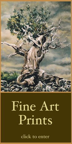Fine Art Prints